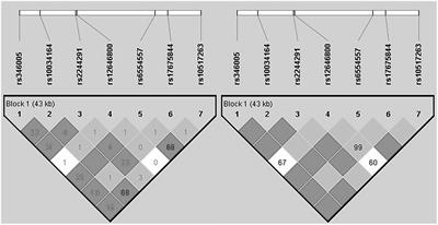 Possible Association of Polymorphisms in Ubiquitin Specific Peptidase 46 Gene With Post-traumatic Stress Disorder